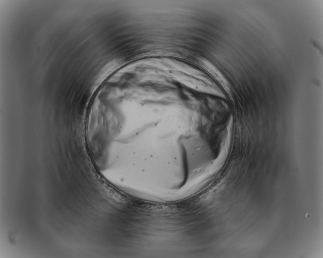 X0000091221002200708301447