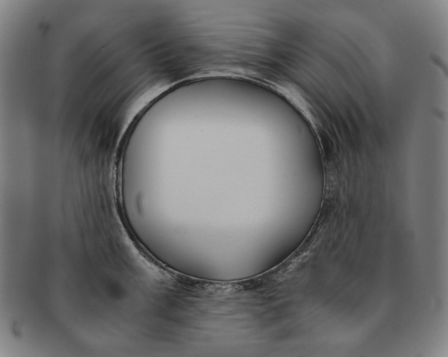 X0000091221003200708301447