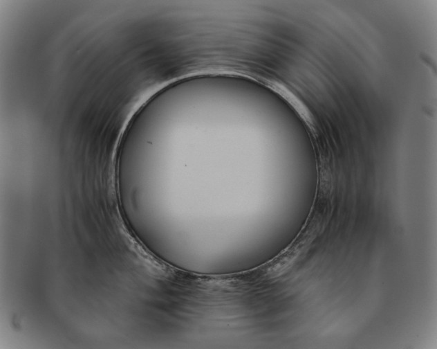 X0000091221004200708301447