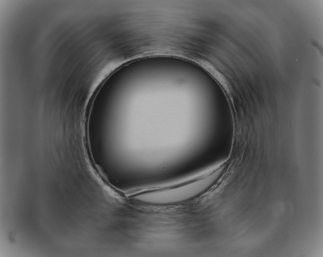 X0000091221005200708301447