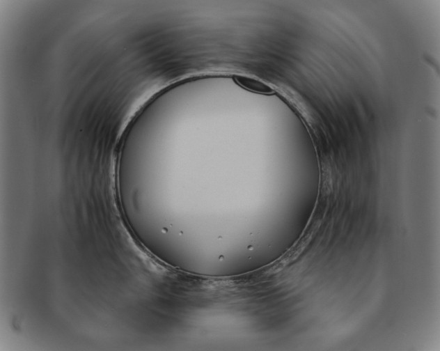 X0000091221006200708301447