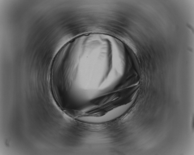 X0000091221007200708301447