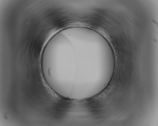 X0000091221008200708301447