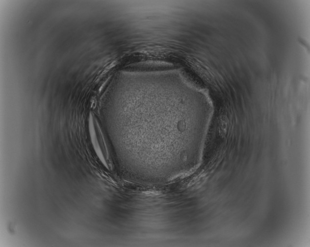 X0000091221010200708301446