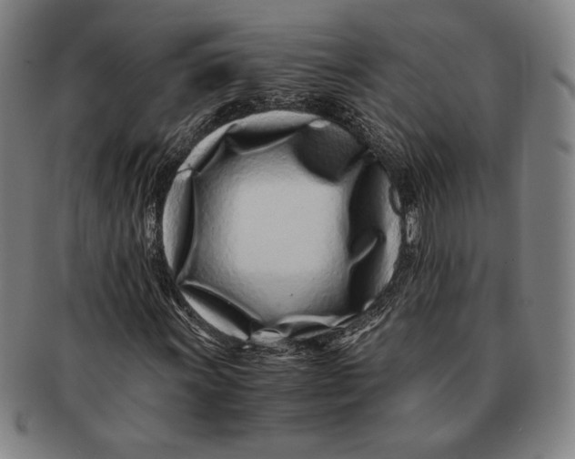 X0000091221011200708301446