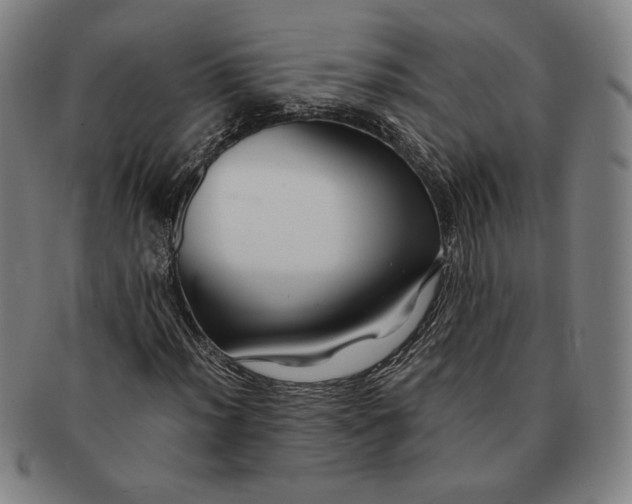 X0000091221012200708301446