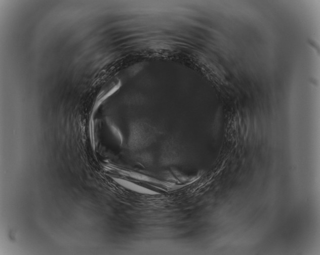 X0000091221013200708301446