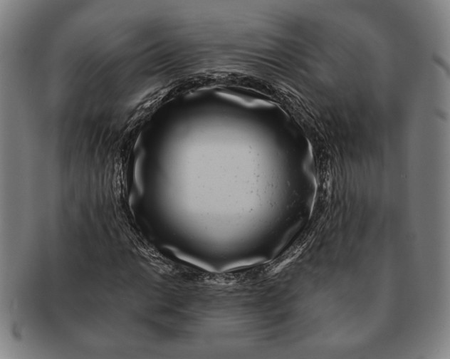 X0000091221014200708301446