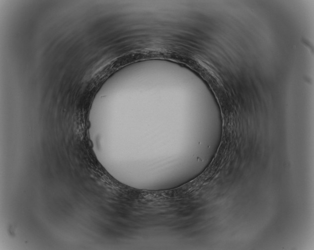 X0000091221015200708301446