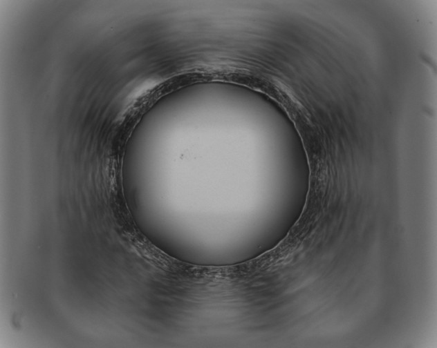 X0000091221016200708301446