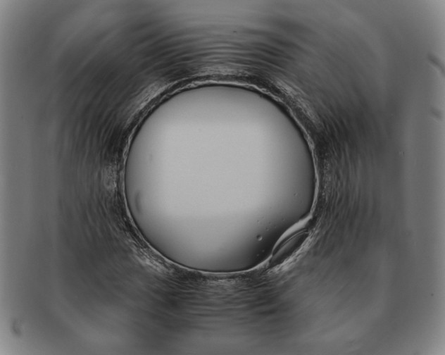 X0000091221017200708301446