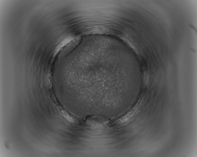 X0000091221018200708301446