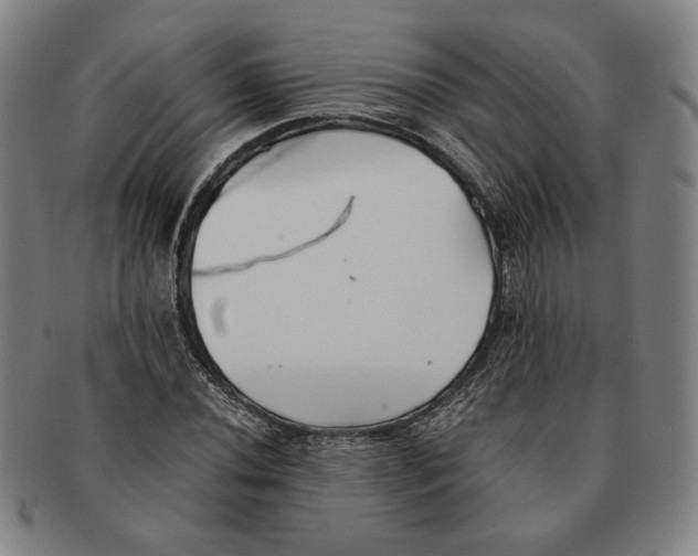 X0000091221020200708301446