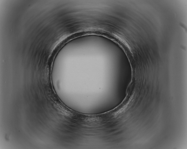 X0000091221021200708301446