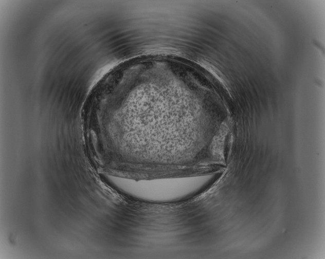 X0000091221022200708301446