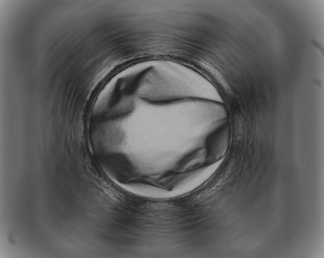 X0000091221023200708301446