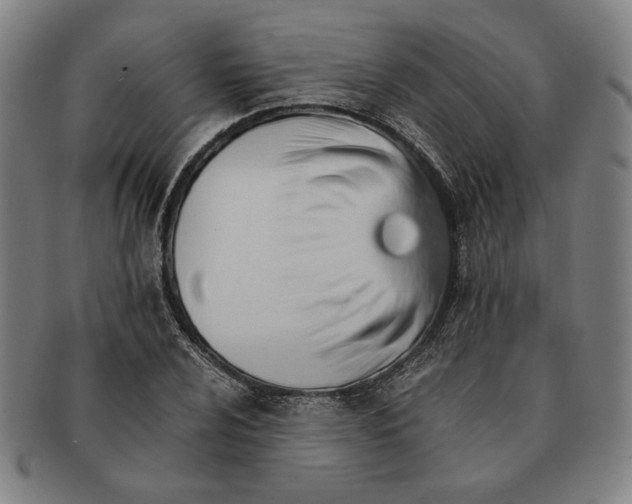 X0000091221024200708301446