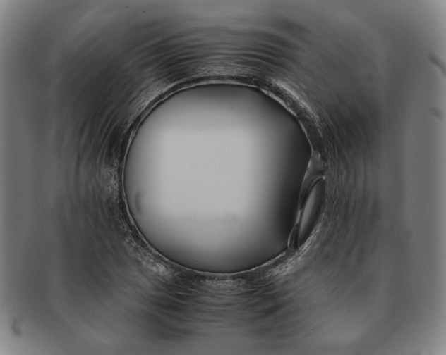 X0000091221025200708301446