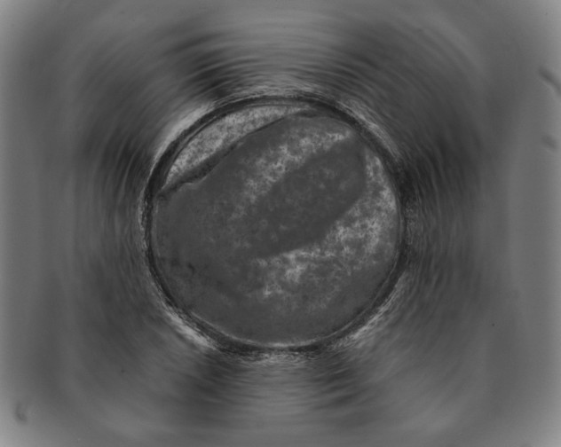 X0000091221026200708301447