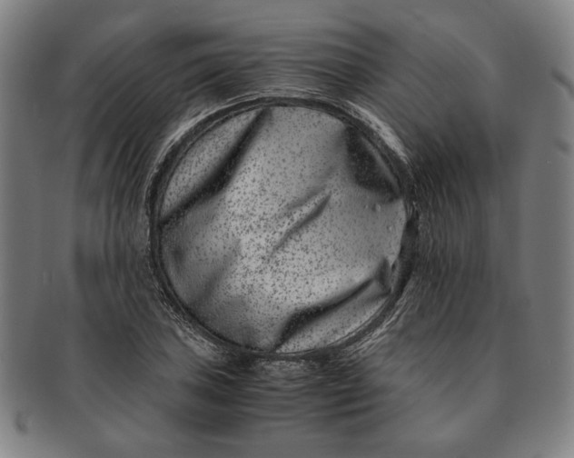 X0000091221027200708301447