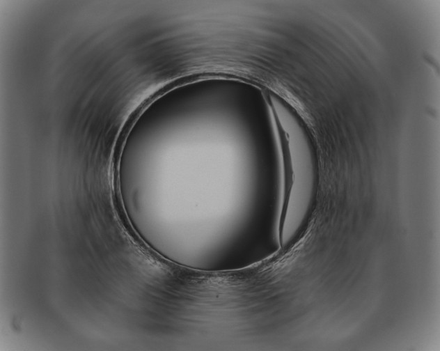 X0000091221028200708301447