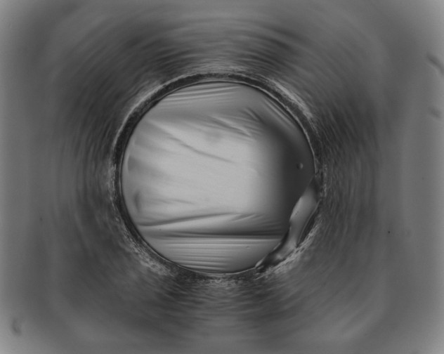 X0000091221029200708301447