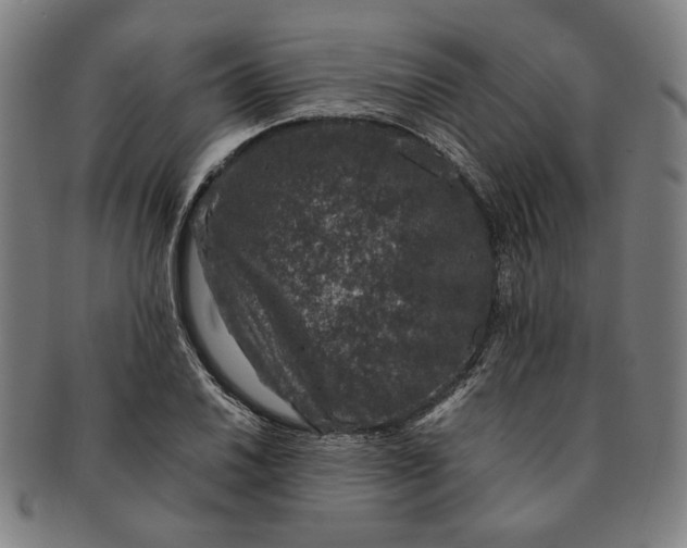 X0000091221030200708301447