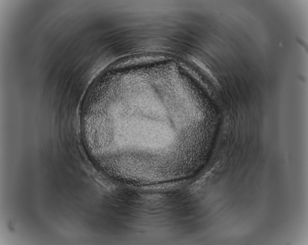 X0000091221031200708301447