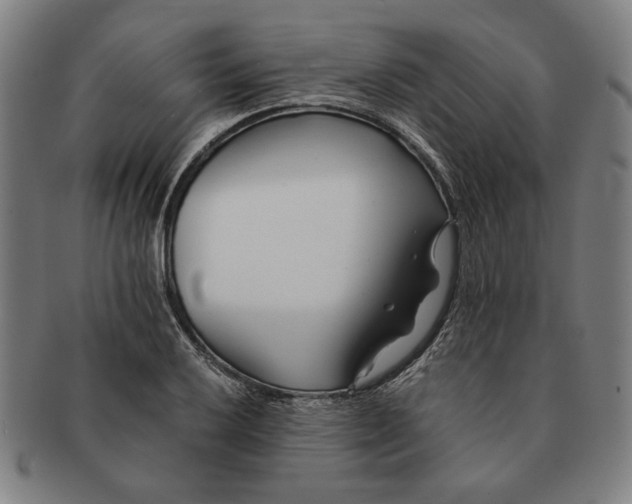 X0000091221032200708301447