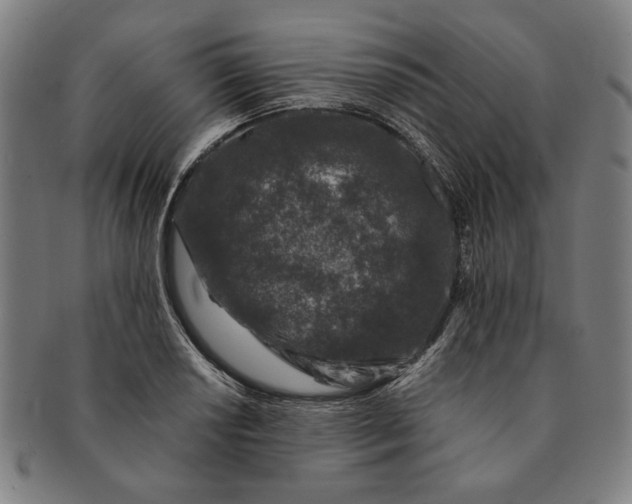 X0000091221034200708301447