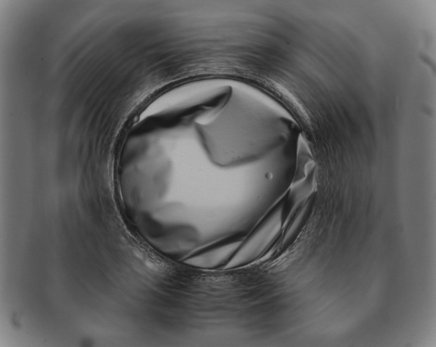 X0000091221035200708301447