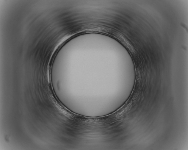 X0000091221036200708301447