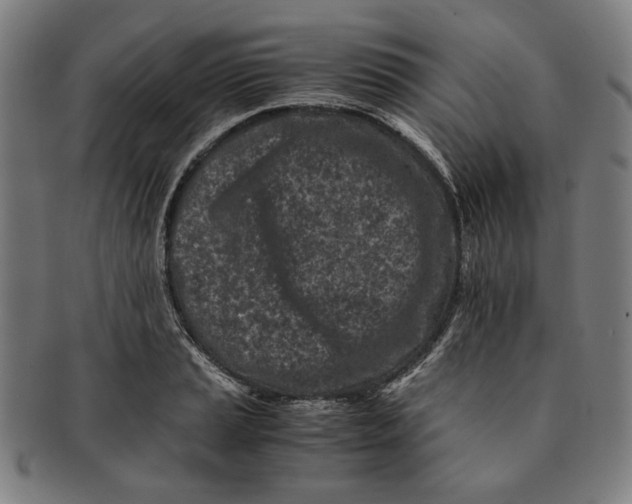 X0000091221037200708301447