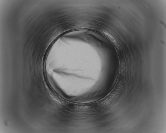 X0000091221039200708301447