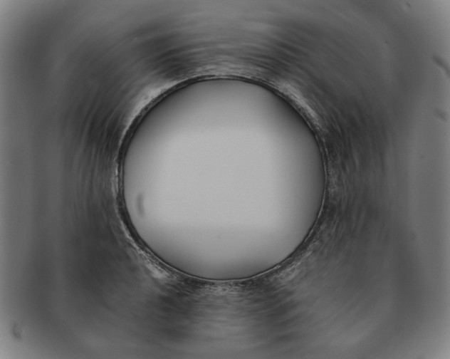 X0000091221040200708301447