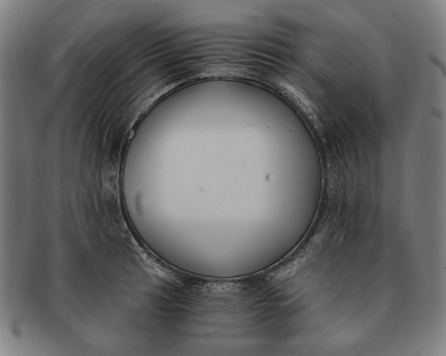 X0000091221041200708301447