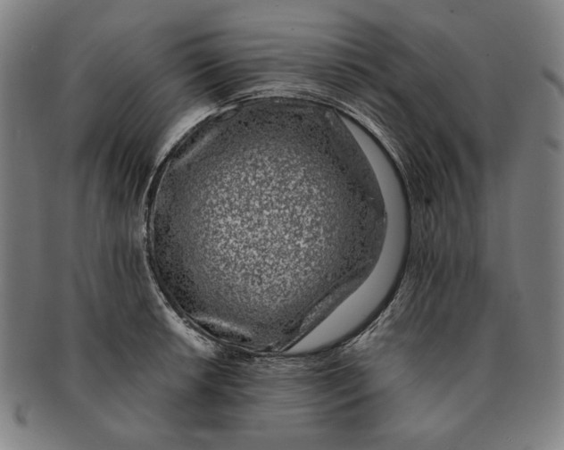 X0000091221042200708301447