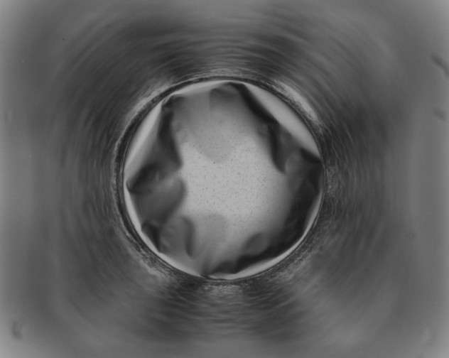 X0000091221043200708301447