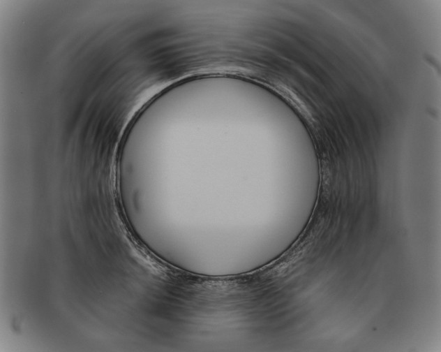 X0000091221044200708301447