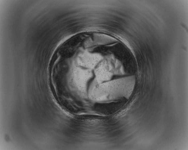 X0000091221045200708301447