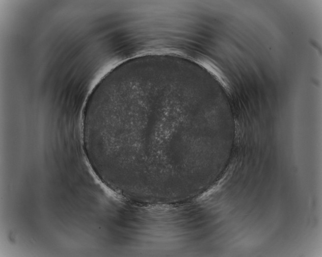 X0000091221046200708301447