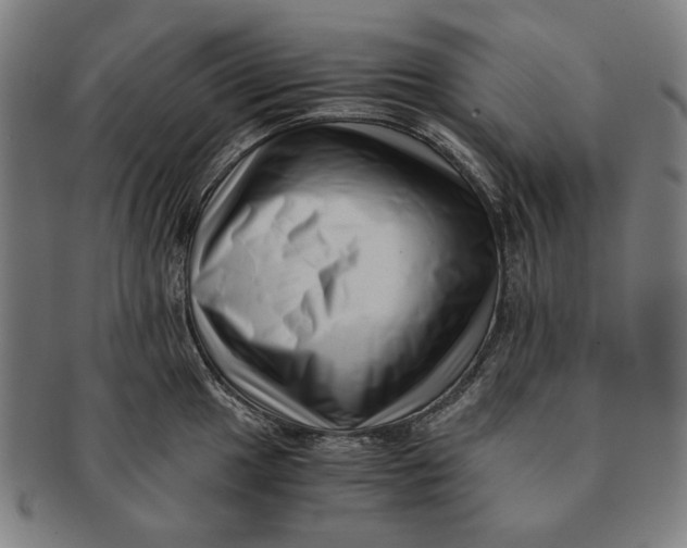 X0000091221049200708301447