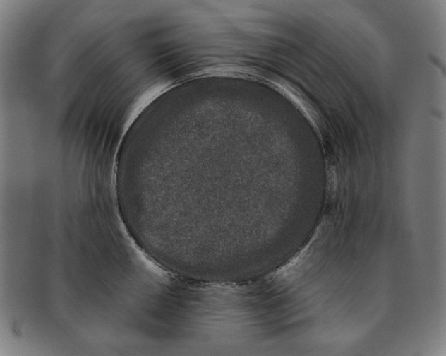 X0000091221050200708301447