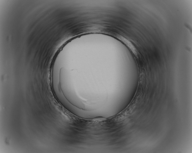 X0000091221051200708301447