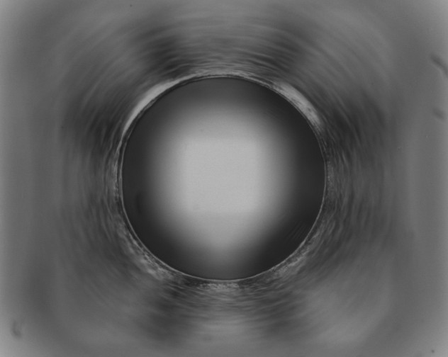 X0000091221052200708301447