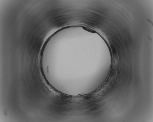 X0000091221053200708301447