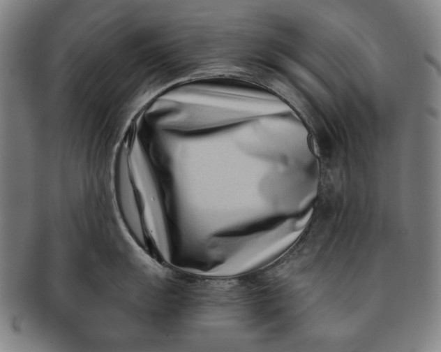 X0000091221055200708301447