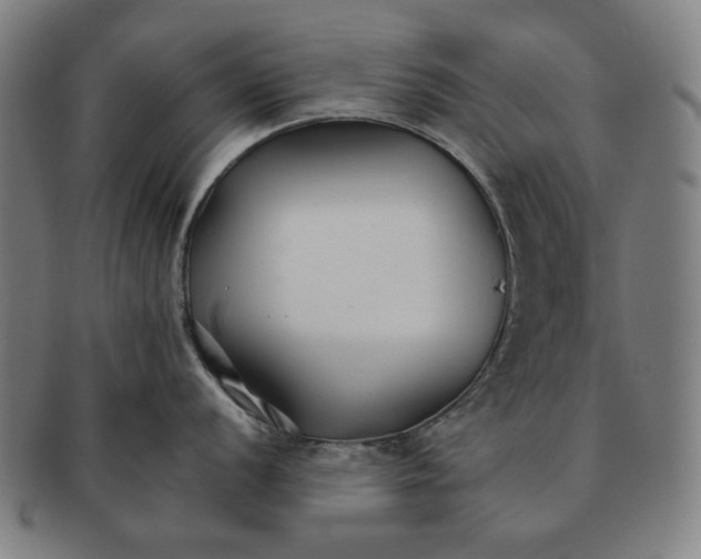 X0000091221056200708301447