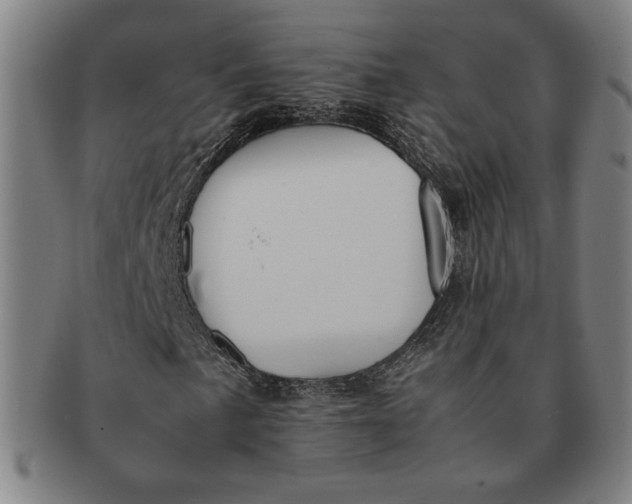 X0000091221057200708301446