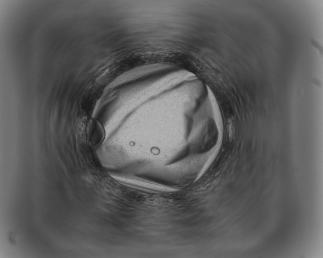 X0000091221059200708301446